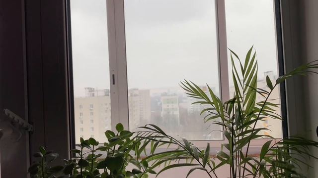 дневники большого города: танцы, samú, шопперы, Москва смотреть онлайн