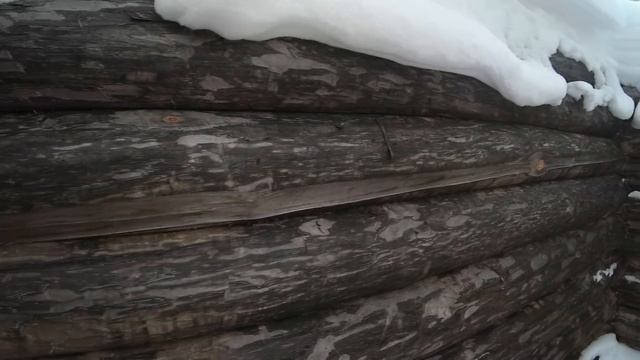 Готовь СаНи Летом а СРУБЫ Зимой # Заготовка замнего леса для Бань смотреть онлайн