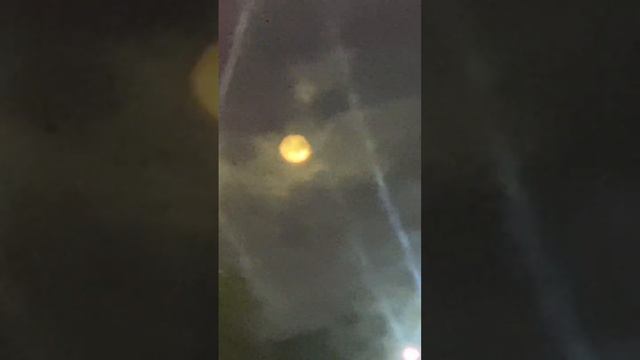 28 de enero de 2024 смотреть онлайн