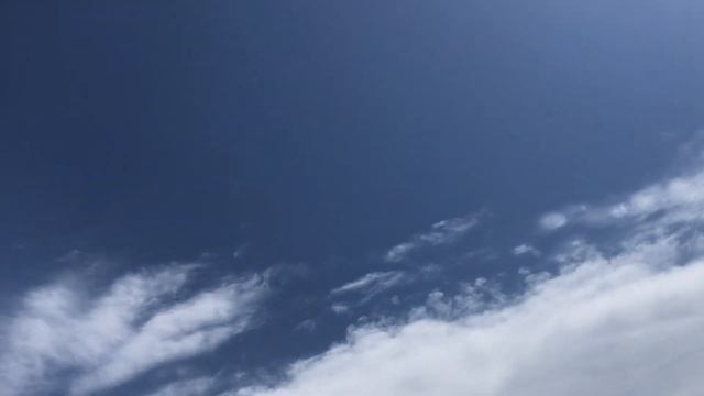 Николаевские голуби. Красные молодые. Крым смотреть онлайн