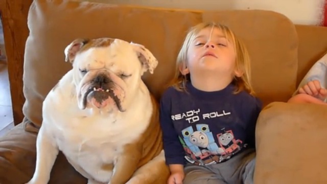 Уморил бульдожка ребенка смотреть онлайн