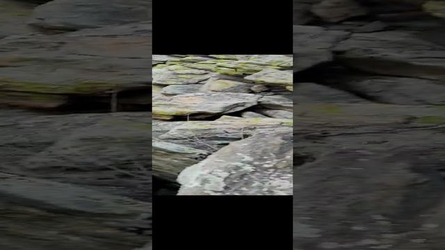 video-763fe267a48f95aa4bfe3714baa33841-V.mp4 смотреть онлайн