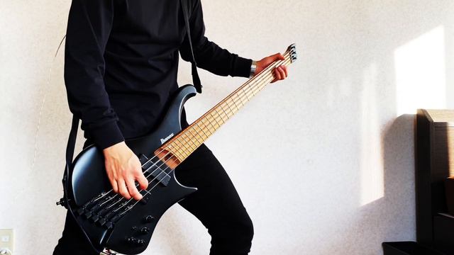 Gojira - Only Pain || Bass Cover смотреть онлайн