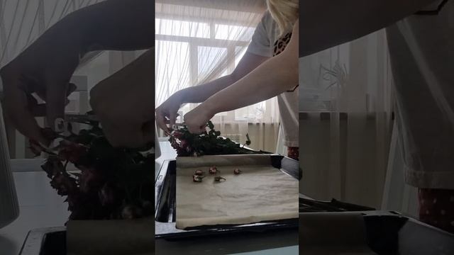 Сухоцветы в духовке смотреть онлайн