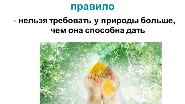 Урок по Обществознанию 7 класс - Воздействие человека на природу смотреть онлайн