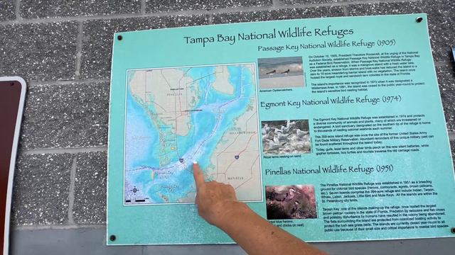 🔴 супер РЫБАЛКА в океане 🔴 с пирса у ШИКАРНОГО моста Tampa Bay Florida USA November 2023 смотреть онлайн