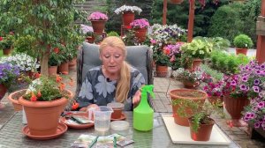 Как вырастить комнатный ГРАНАТ