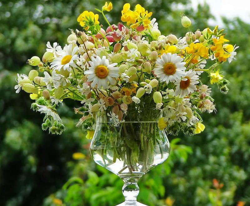 Настроение