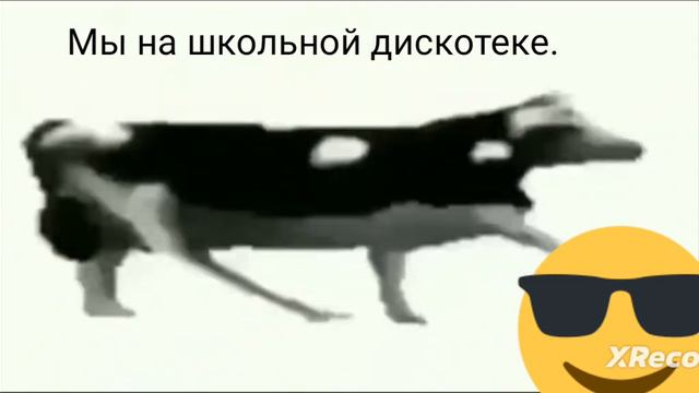 корова танцует под музыку курица ананас этот хит качает нас. смотреть онлайн