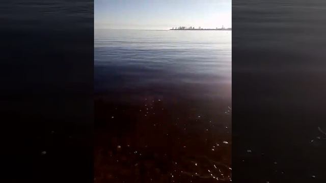 Ыссык-куль зимой, 07.12.2018г. Успокаивает... смотреть онлайн