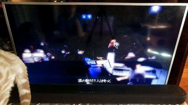 Саундбар YAMAHA YAS-209, работа с телевизором SAMSUNG через HDMI ARC смотреть онлайн