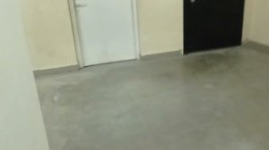 26 этажей! Музыкальные Лифты ЩЛЗ EcoMaks 2017 года