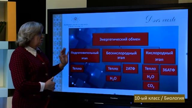 “Dərs vaxtı”: 10-cu sinif dərsləri ( rus bölməsi) (11.12.2020) смотреть онлайн