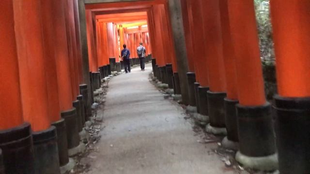 Путешествие по Японии ! Киото, Фусими Инари смотреть онлайн