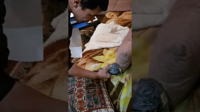 Квест к 23 февраля"Найди подарки"! смотреть онлайн