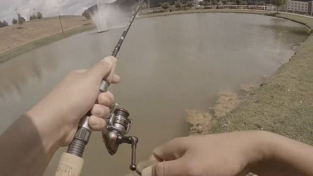 Bass Pro Shops Pond Fishing смотреть онлайн