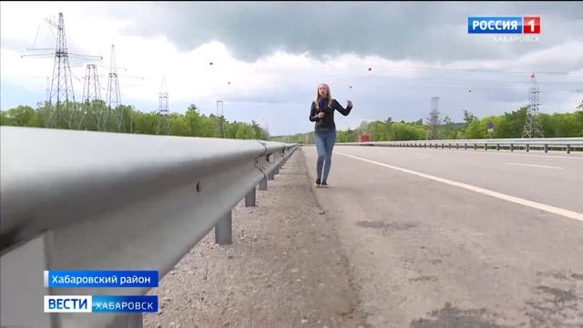 Бурый медведь погиб под колёсами автомобиля на объездной трассе Хабаровск – Владивосток смотреть онлайн