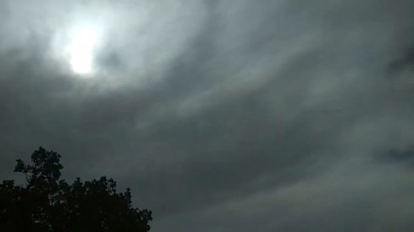 ВЛОГ/Поехали в Большой Утриш/Прогуляла школу?