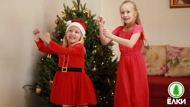 Какую елку выбрать: живую или искусственную? смотреть онлайн