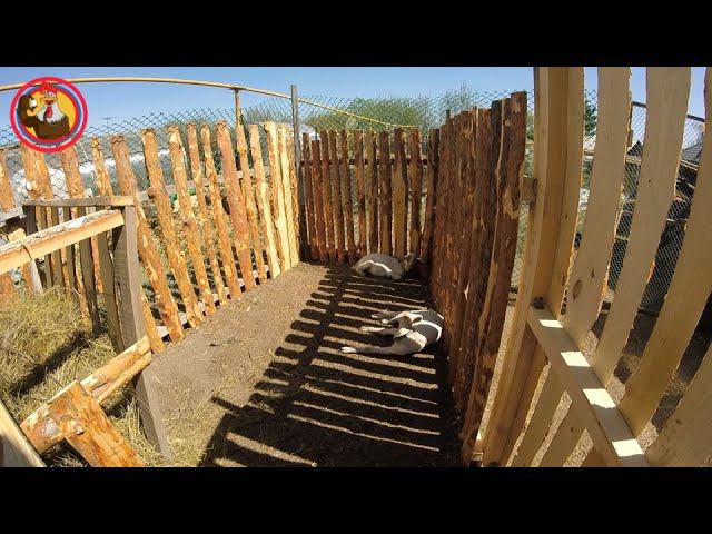 Расширение хозяйства