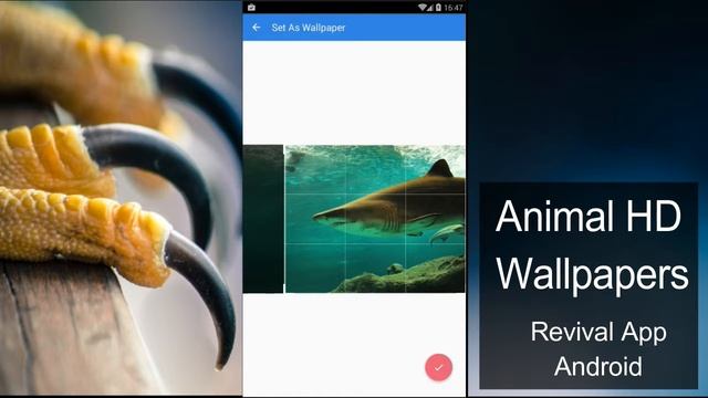 Animal HD Wallpapers Free Android-Revival App- смотреть онлайн
