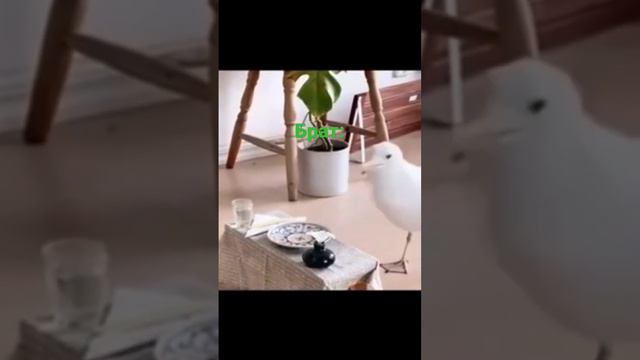 ЮМОР ТВ ОК. смотреть онлайн