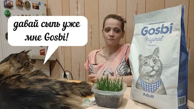 Госби Ориджинал Обзор корма для котов | Gosbi Original Adult Cat смотреть онлайн