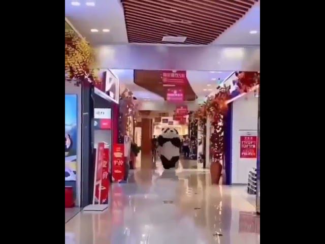 Смертельная схватка смотреть онлайн