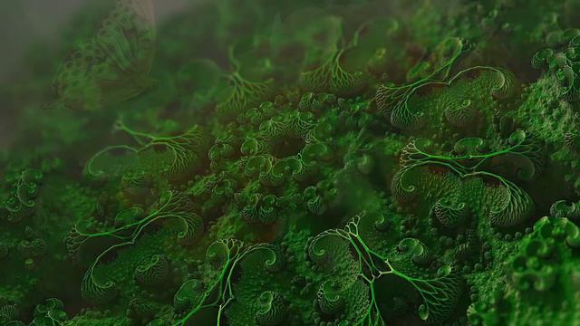 ИМБИРЬ ВМЕСТО ЛЕКАРСТВ