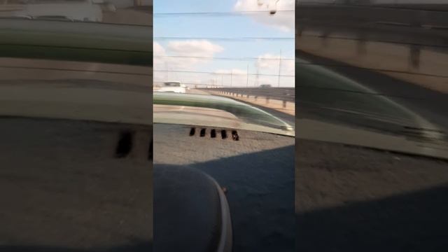 Ниссан Примера езда по трассе