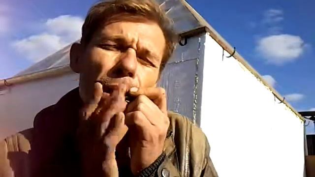 jew's harp варган 34 смотреть онлайн