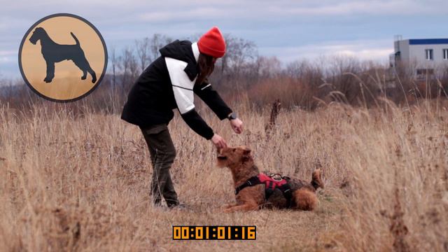 60 команд за одну минуту. Личный Челендж. смотреть онлайн