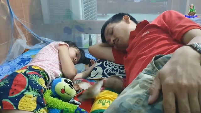 Ngoc loves Monkey Sam Asher and DAD смотреть онлайн