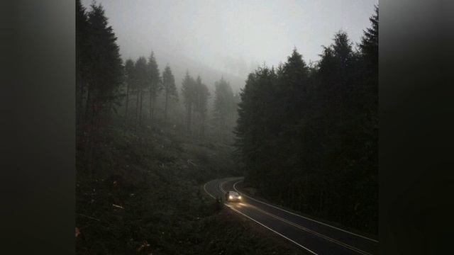 Akira Yamaoka - Cold Blood 🎹 #silenthillmusic #silenthill #music #gamermusic смотреть онлайн