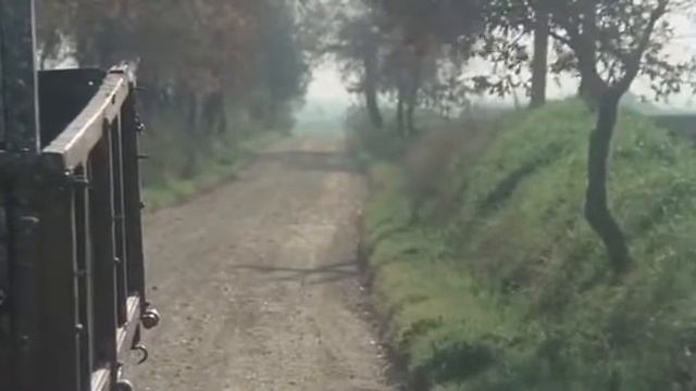 Модели кальсон в 1930-х годах смотреть онлайн