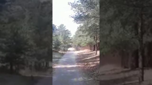 СЕСТРОРЕЦК/ФИНСКИЙ ЗАЛИВ/КРАСОТА ПРИРОДЫ/ВИДЕО ОТ ЗРИТЕЛЯ смотреть онлайн