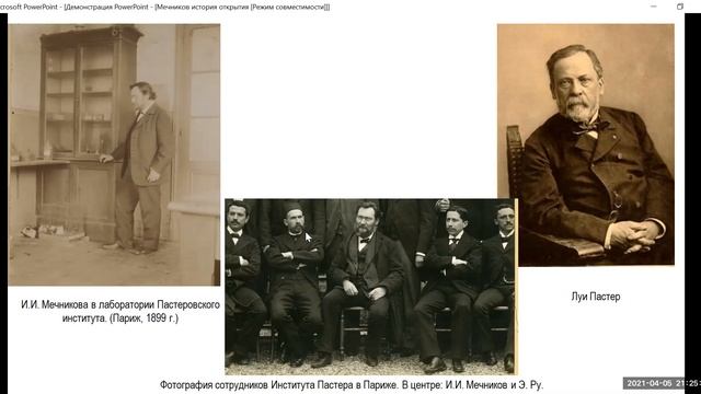 Фагоцитарная теория Мечникова (лекция из цикла «История борьбы научных идей) смотреть онлайн