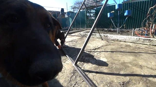 КУПИЛ КИТАЙСКУЮ ИГРУШКУ. ОБЗОР КРАСКОПУЛЬТА. 1.03.2023 смотреть онлайн