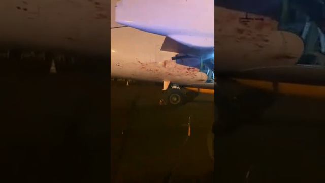 Incident: Azimuth SU95 at Pskov on Nov 1st 2021, deer strike смотреть онлайн