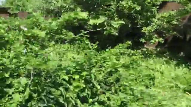 Кому жука??? смотреть онлайн