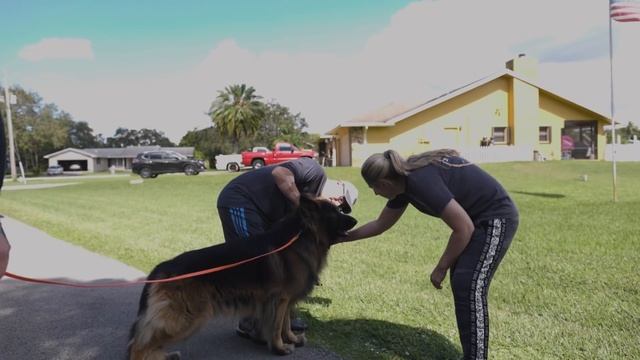 Aggressive & Dominant GSD Attacks Trainer AND FINALLY MEETS HIS MATCH! смотреть онлайн