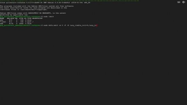 Google Cloud Persistent Disks