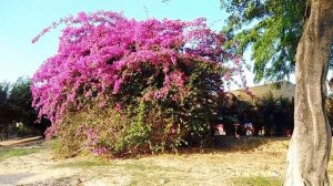 Отдых на острове Хайнань. Май 2019г.