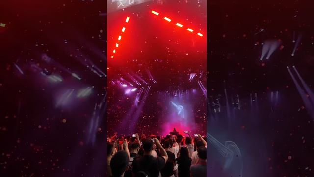 световое и лазерное шоу смотреть онлайн