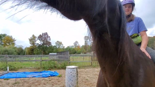 Fable Smiles - loves riding tackless смотреть онлайн