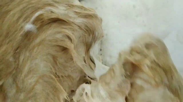 17 сентября 2021 г. смотреть онлайн