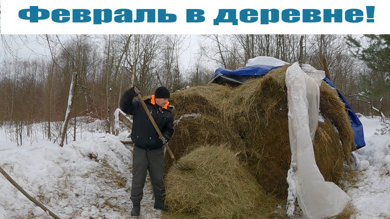 "Февральские НОВОСТИ" хозяйства в деревне! смотреть онлайн