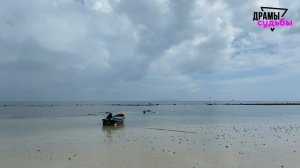 Жена изменила с тремя мужчинами… Я не сдержался! | Удивительные истории, Измена Жены - Драмы Судьбы