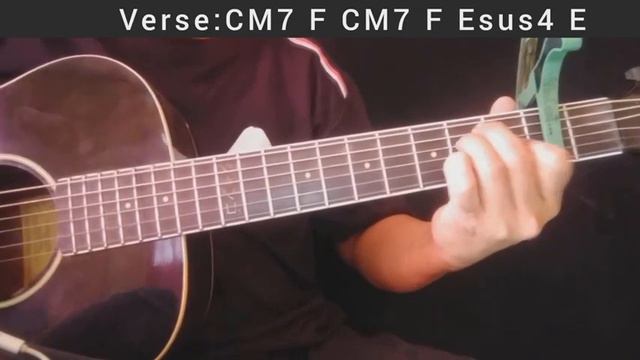 I CAN'T TELL YOU WHY BY THE EAGLES EASY GUITAR CHORDS #icanttellyouwhy #eagles смотреть онлайн