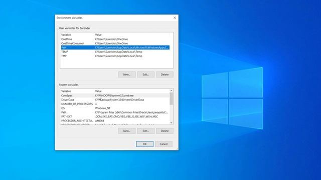 Setup environment variables in Windows смотреть онлайн